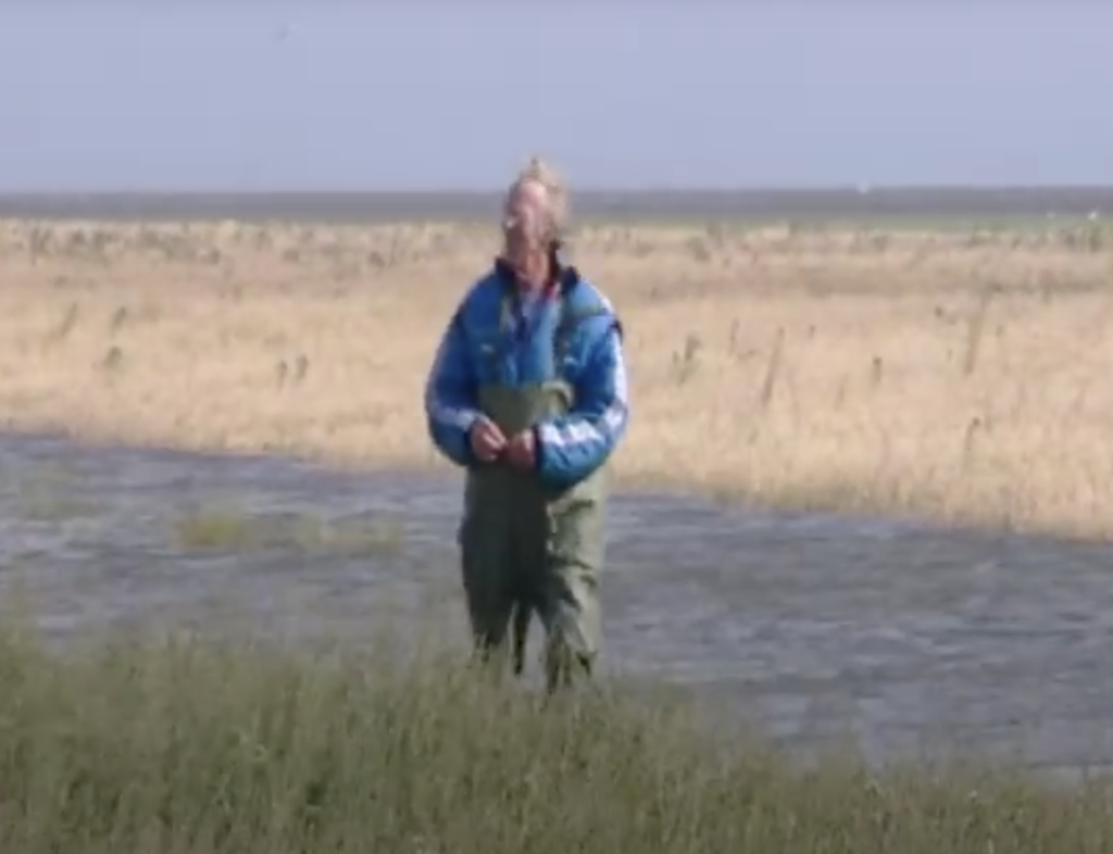 Afbeelding voor voorstelling Freek’s Nederland